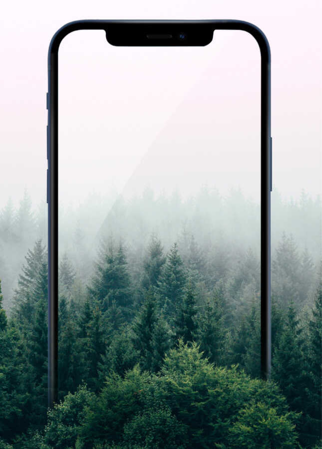 Apple iPhone 11 Pro Wiwu iPrivacy HD Anti-Peep Ekran Koruyucu Siyah